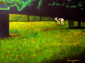 FAWN