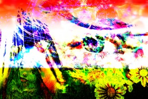 Lucy In The Sky With Diamonds